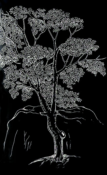 ��ش�Ҿ�����鹨Եá����Ҽ�ѧ��Ǵ�����