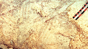 ภาพลายเส้น
