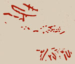 ภาพลายเส้น ลายจุด ลายเส้นโค้ง เส้นกากบาท