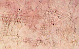 ภาพลายเส้นประกอบเป็นรูปทรงต่างๆ