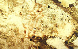 ภาพลายเส้นประกอบเป็นรูปทรงต่างๆ