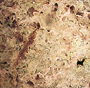 ภาพลายเส้นรูปทรงต่างๆ