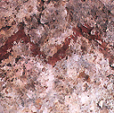 ภาพลายเส้นรูปทรงต่างๆ