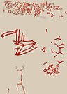 ลายเส้น