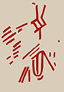 ลายเส้น