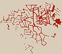 ลายเส้น