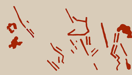 �Ҿ�����鹵ç �����ѡ ��鹤�袹ҹ ��¹������ᴧ