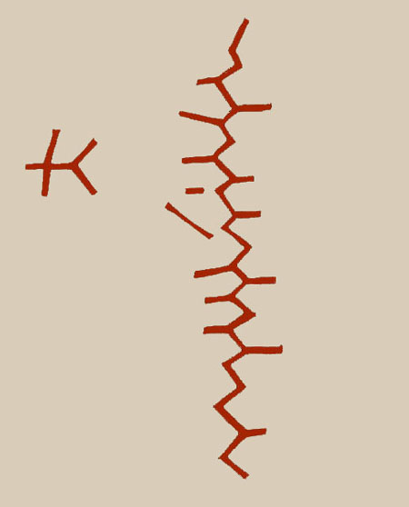 Ҿѡ͡ѹǧ ٻẺ
