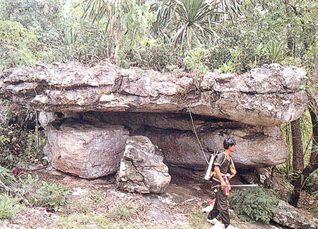 ��ӹ������� 2