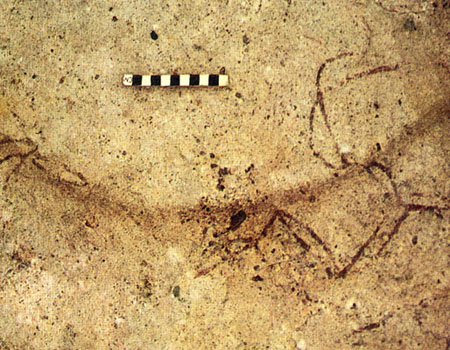 �Ҿ������