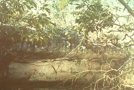 ��ӹ������� 1