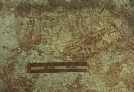 �Ҿ������