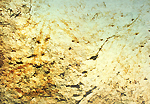 ลายเส้นคล้ายคนยืน 3 ภาพ (แบบกิ่งไม้)