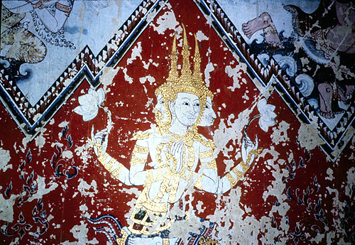 ෾