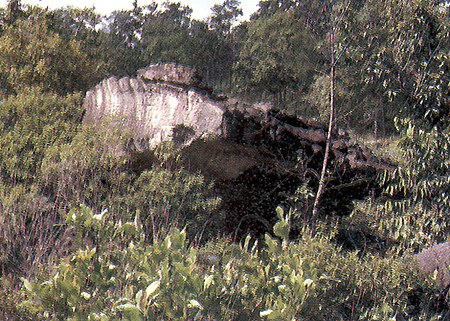 ��Ҿ���������ѡɳТͧ���