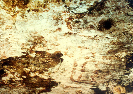 �Ҿ�������ٻ���ҧ ��鹢�ҹ ����� ��鹷ֺ