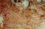 ลายสัญลักษณ์