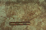 ภาพลายเส้น