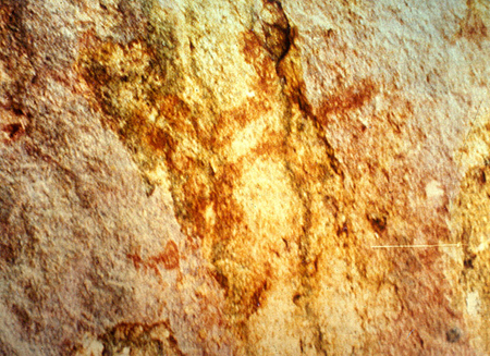 �Ҿ������